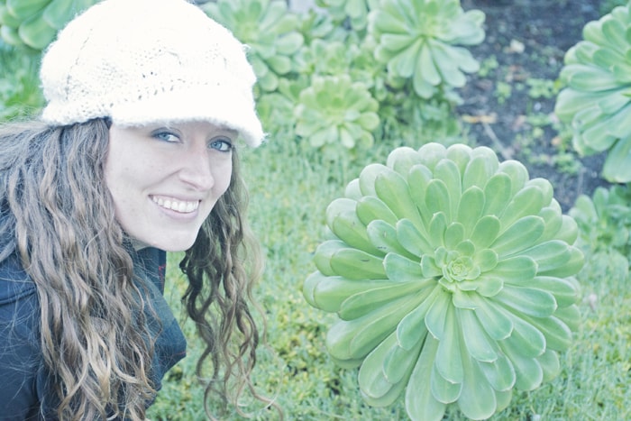 san fran hen and chicks
