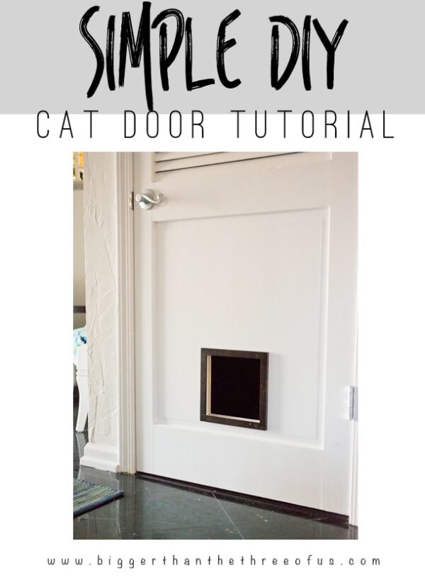 Making An Indoor Cat Door at Wayne Reed blog