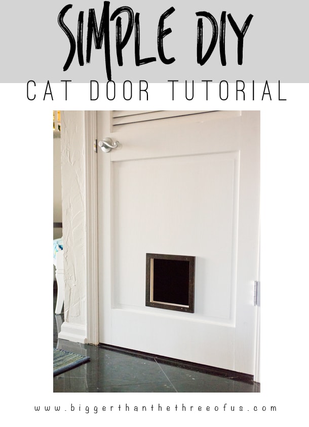 Diy Cat Door