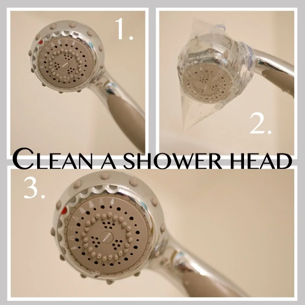 how to clean a shower head