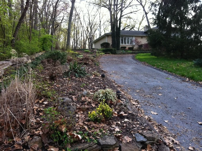 leaf cleanup