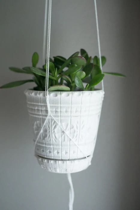 closeup of string plant hanger