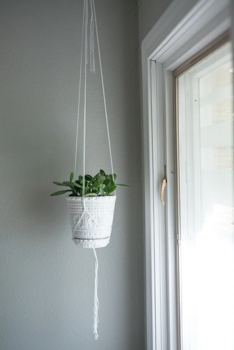 handmade string plant hanger