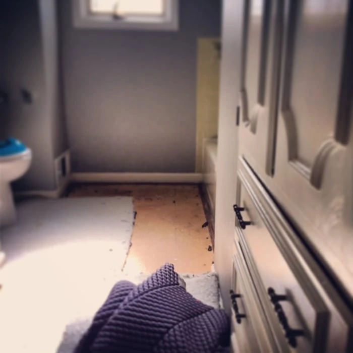 instagram picture of bathroom carpet in progress