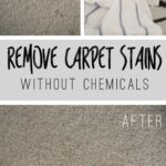 Remove Carpet Stains Without Chemicals!