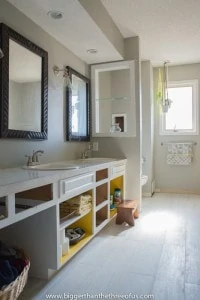 White washed wood tile in hallway bathroom