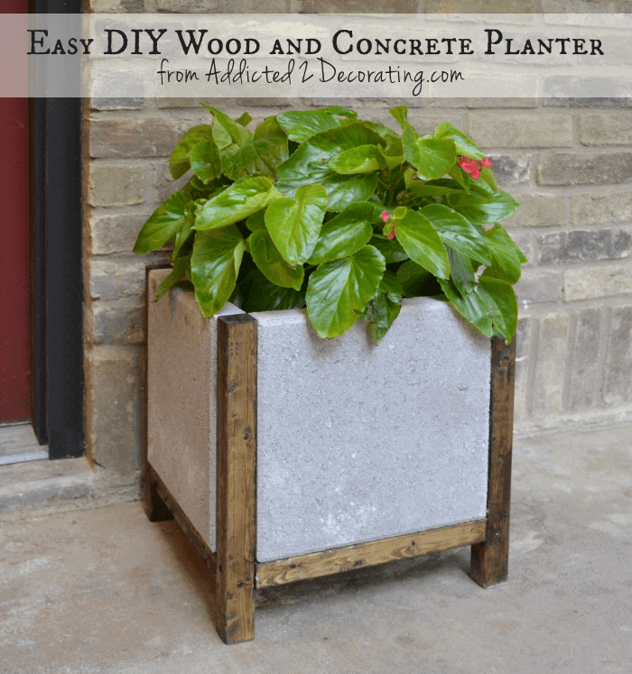 concrete planter DIY