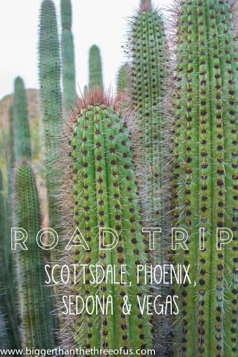 The Best Time to Visit Phoenix & Scottsdale • Abroad with Ash