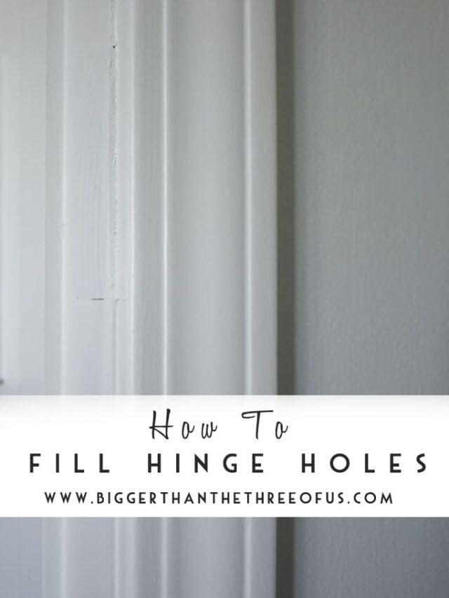 How to fill hinge holes Bigger Than the Three of Us