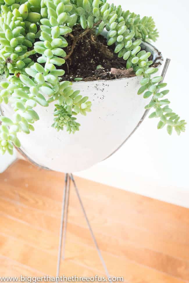 Make this Mid-Century Modern Bullet Planter