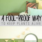 You won't kill plants this way... promise! www.biggerthanthethreeofus.com