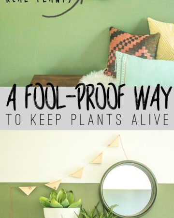You won't kill plants this way... promise! www.biggerthanthethreeofus.com