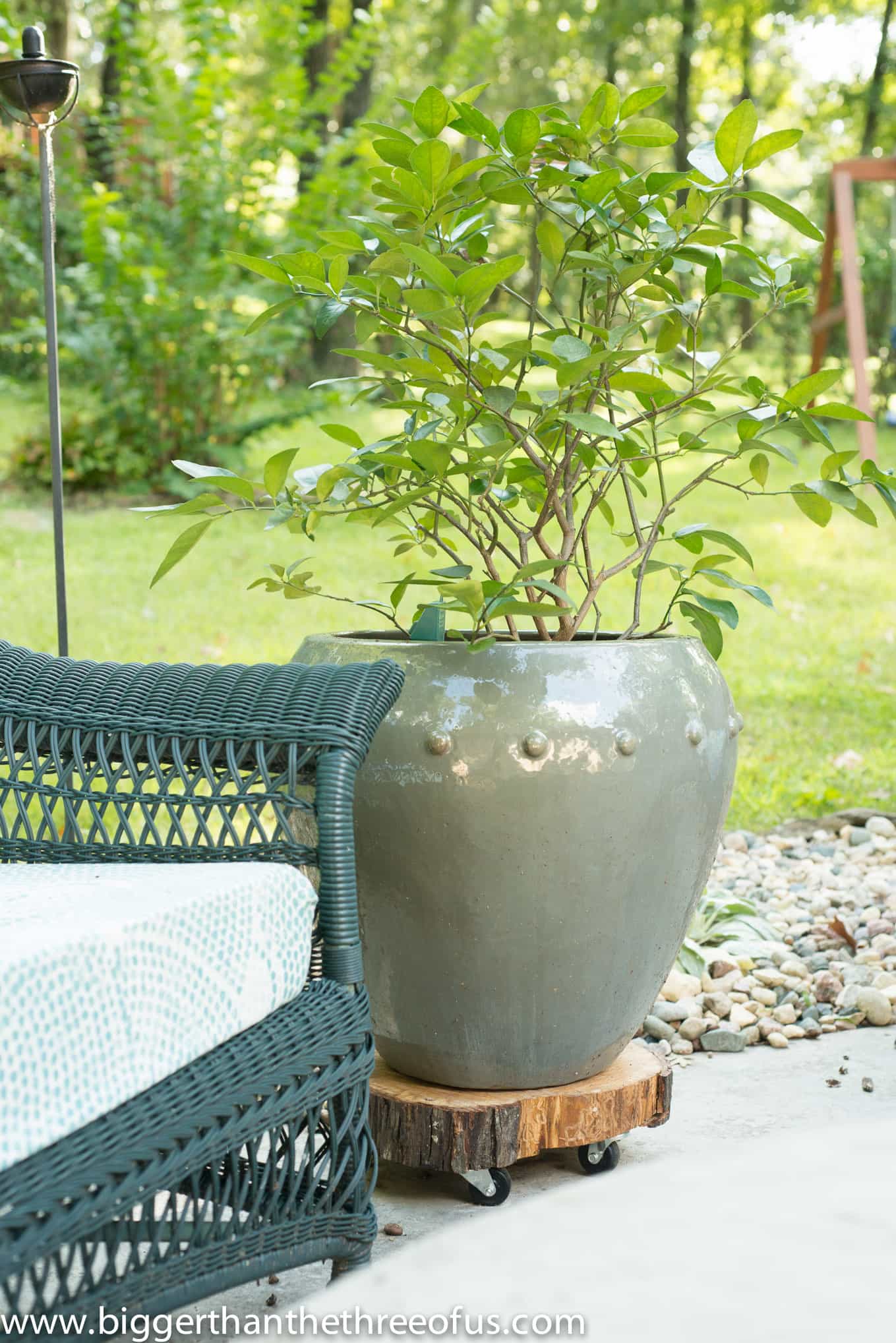 Make This DIY Wood Rolling Plant Stand in just a few minutes!