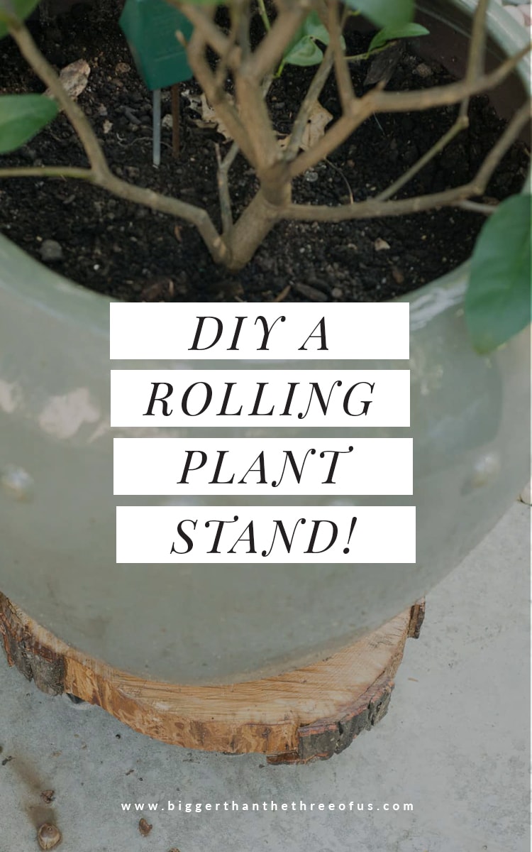 Make This DIY Wood Rolling Plant Stand in just a few minutes!