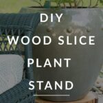 rolling planter diy out of a tree slice