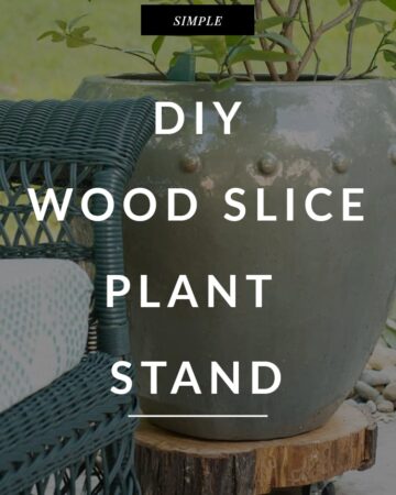 rolling planter diy out of a tree slice