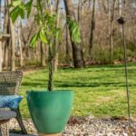 DIY Scrap Wood Plant Stand