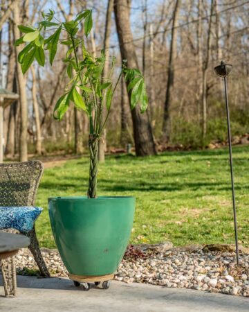 DIY Scrap Wood Plant Stand