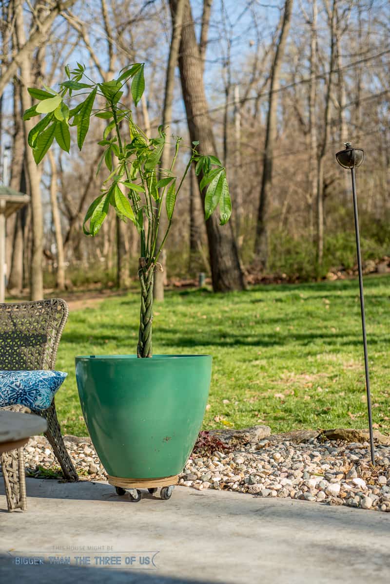 Diy Plant Stand On Wheels