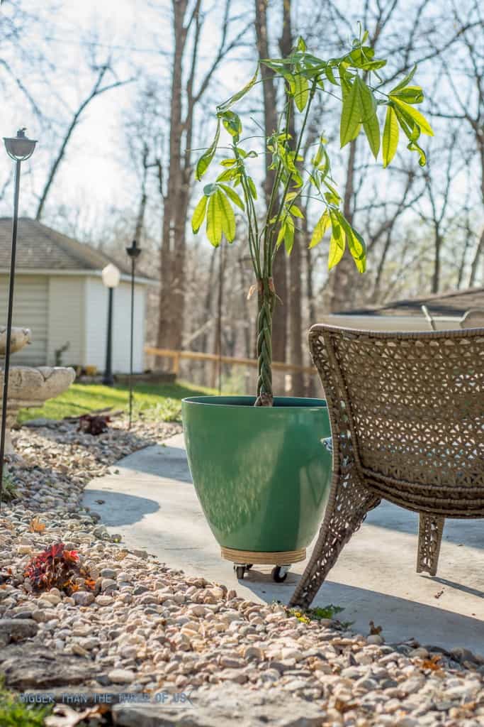 Landscaping with Rock instead of Mulch - Bigger Than the 