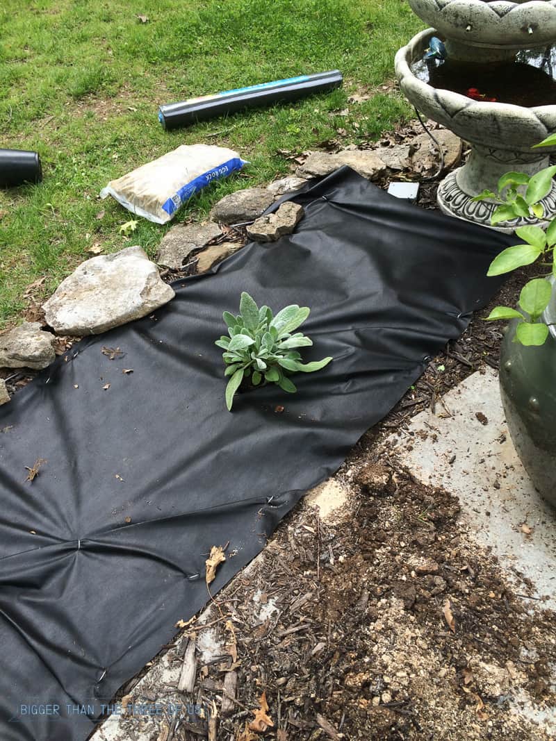 Landscaping With Rock Instead Of Mulch Bigger Than The Three Of Us