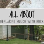 Replace mulch with Rock