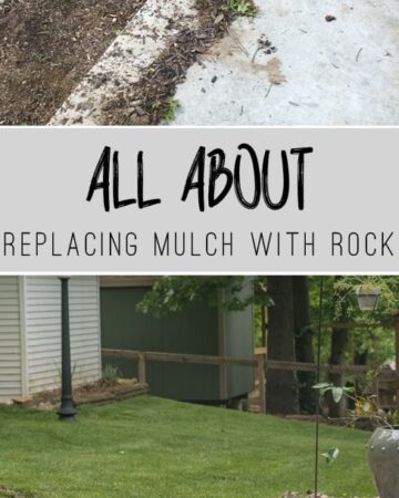 Replace mulch with Rock