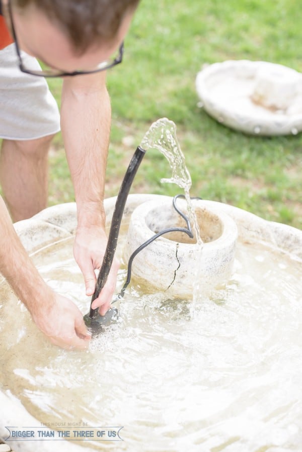 How to Keep Water Fountain Water Clean Bigger Than the Three of Us
