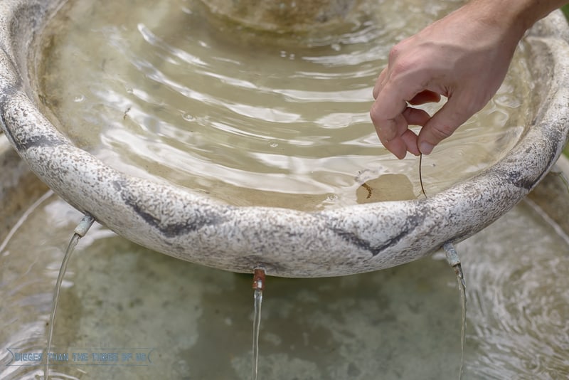 water feature cleaning tips
