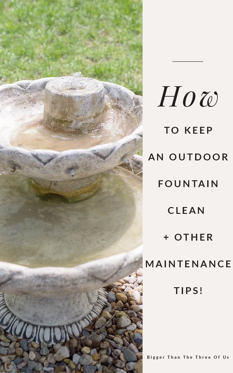 How to Keep Water Fountain Water Clean Bigger Than the Three of Us