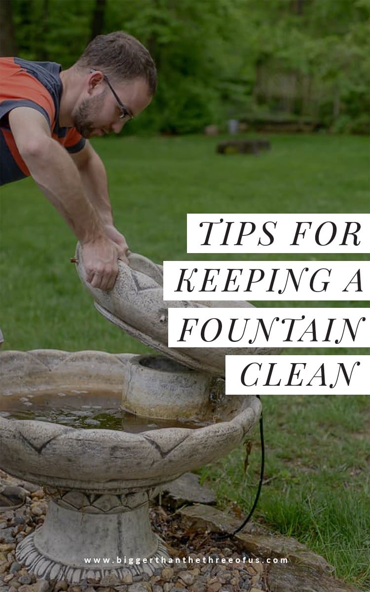 How to Keep Water Fountain Water Clean Bigger Than the Three of Us