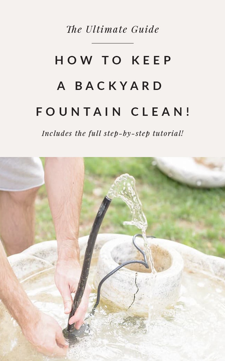 How to Keep Water Fountain Water Clean Bigger Than the Three of Us