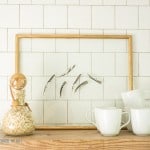 5 minute feather art - perfect for a gallery wall or shelf!