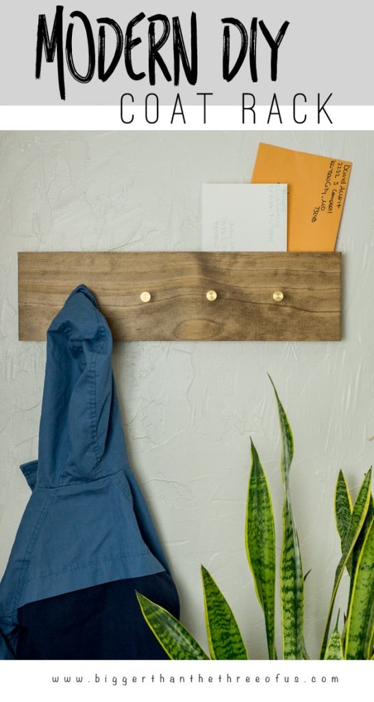 DIY Modern Wall Mount Coat Rack