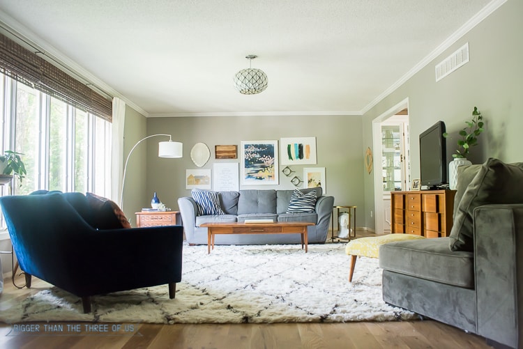 Eclectic, Mid-Century Inspired Living Room