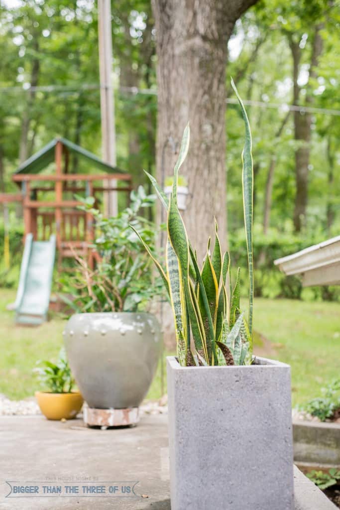 Modern and Bright Patio Reveal