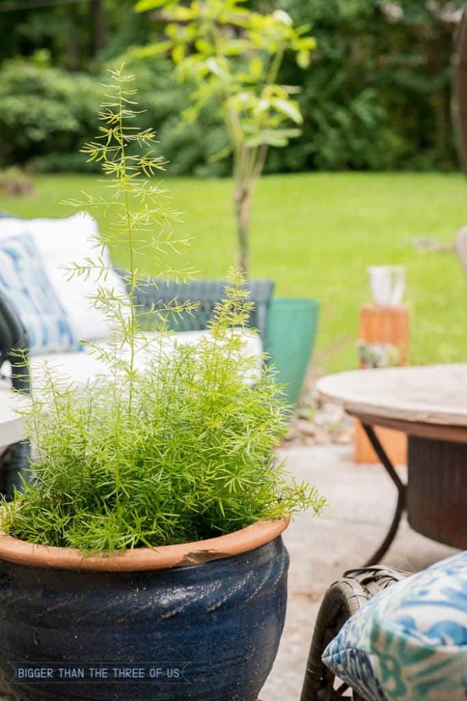 Modern and Bright Patio Reveal