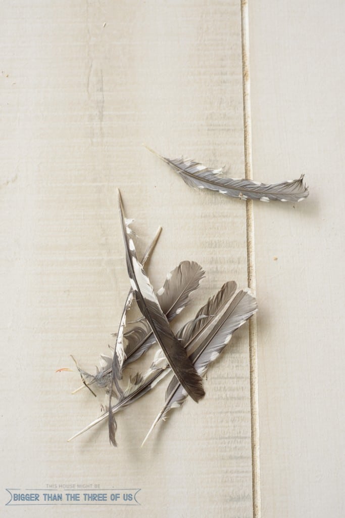 Simple DIY Feather Art - Bigger Than the Three of Us