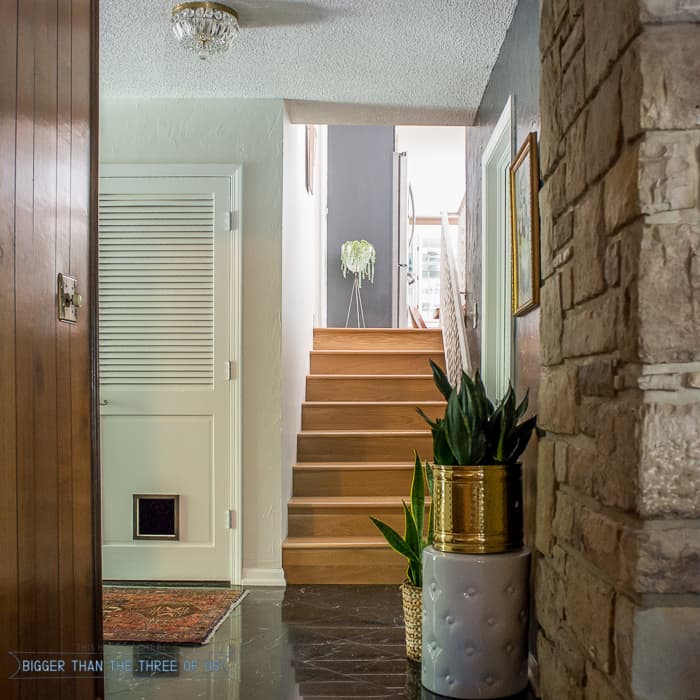 Split-level entryway with vintage rug and DIY Cat door