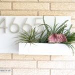 Make this DIY Address Plaque with Succulents