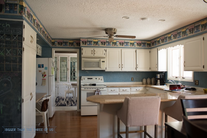 Our Kitchen before the renovation