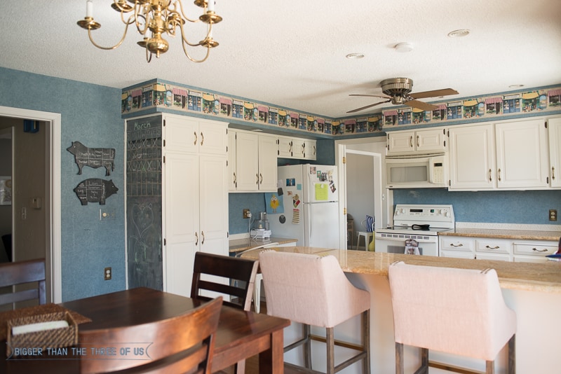 Our kitchen - all the glory of the before