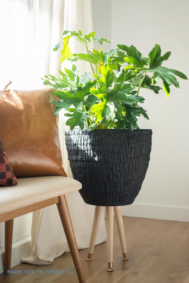 Make this simple Mid-Century planter in just a few easy steps! 