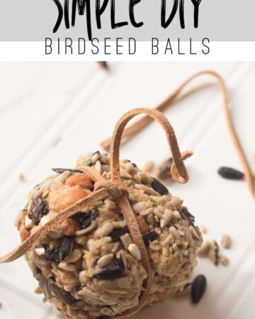 Did you know that making birdseed balls was super easy? Use this tutorial to make some for all the birds in your yard!