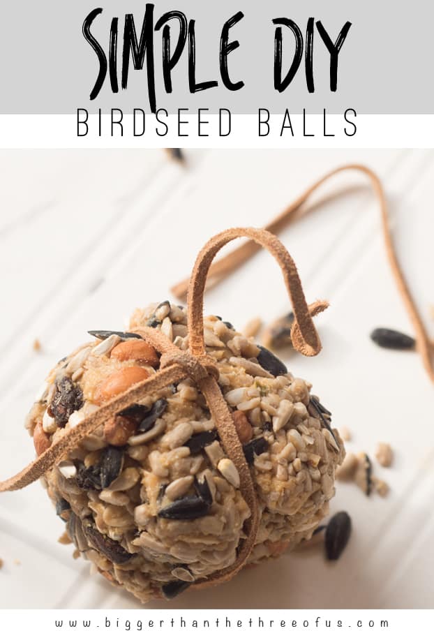 Bird Seed Balls Homemade at Gladys Huang blog