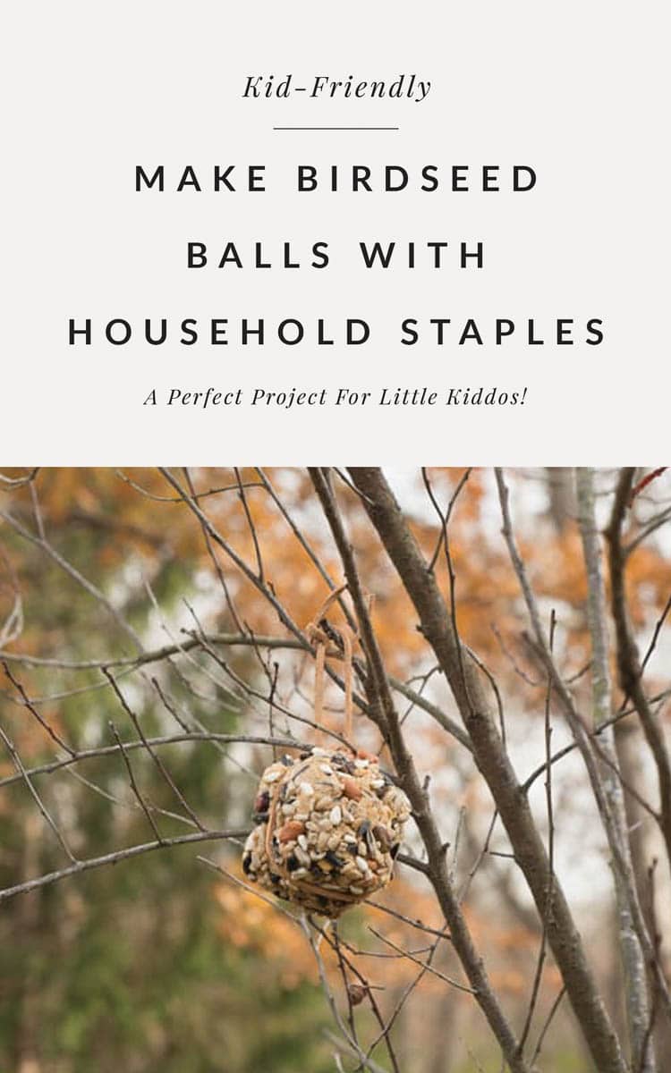 How To Make Birdseed Balls Bigger Than the Three of Us