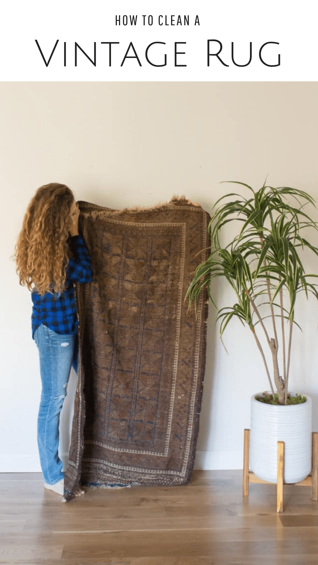 Rug cleaning at home