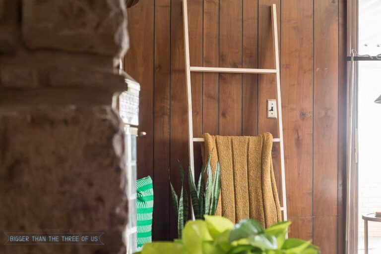 5 Minute, 5 Dollar DIY Blanket Ladder Bigger Than the Three of Us