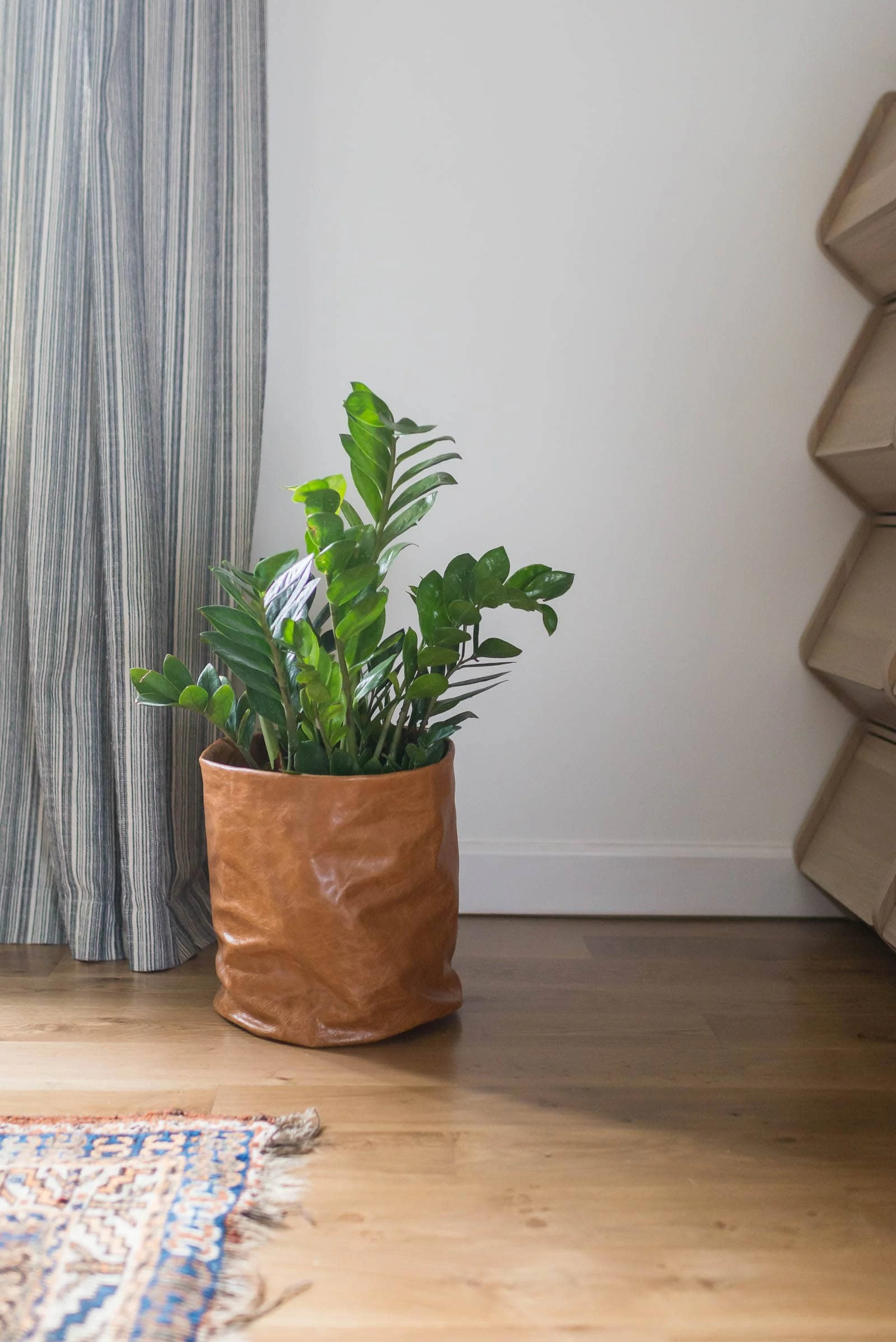 Simple Plant Hack: Cover a Plastic Pot Using a Tote Bag - The Wicker House