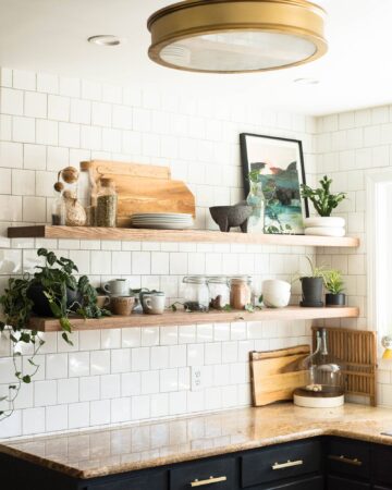 Plants on kitchen shelves